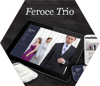 Feroce Trio 2014